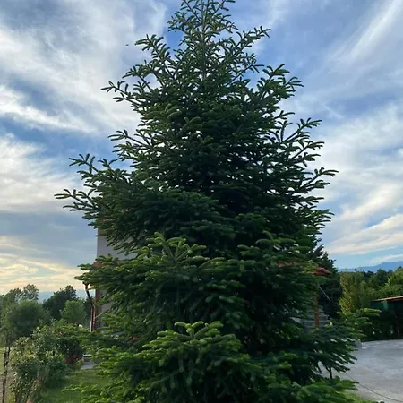 Guest house Anestis